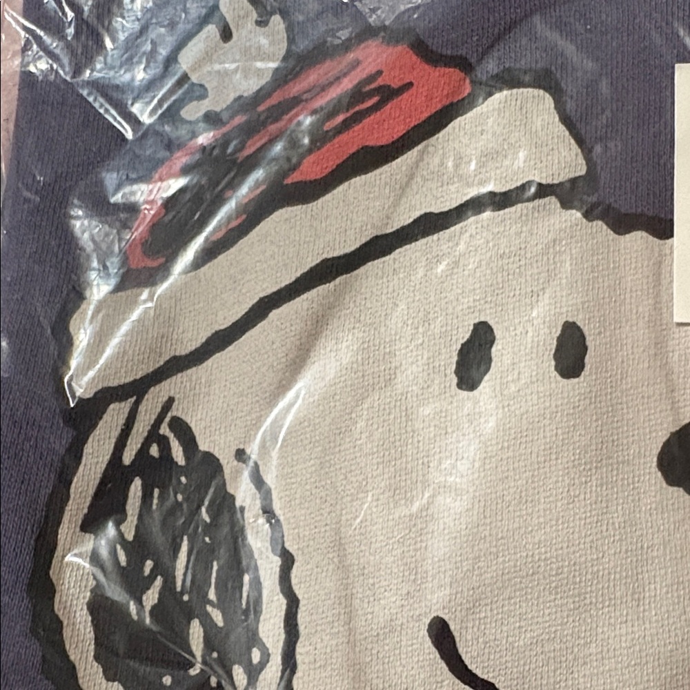 NWT Peanuts Navy Sweatshirt with Snoopy and Woodstock - Picture 8 of 11